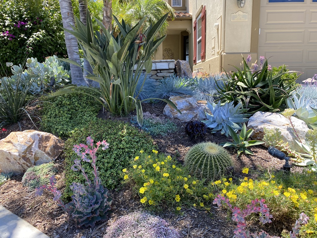 Water-Wise Gardening xeriscaping